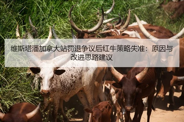 维斯塔潘加拿大站罚退争议后红牛策略失准：原因与改进思路建议